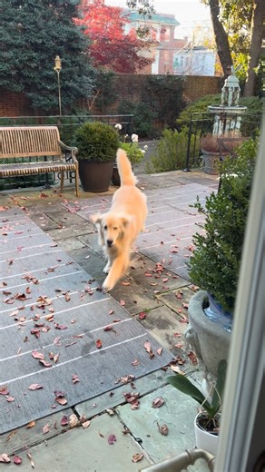 The only time Chloe ever shows discipline! | Bartholomew Broadbent
