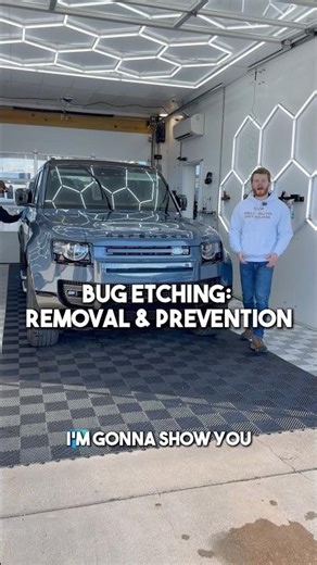 Bug Etching: Removal and Prevention