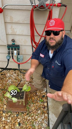 3.6K views · 55 reactions | Backyard Irrigation Setup! | Texas Garden Guy | Facebook