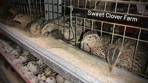 212K views · 1.3K reactions | I currently have 1000s & 1000s of...