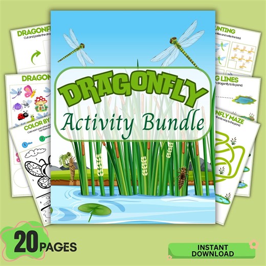 Dragonfly Activity Bundle Printable PDF for Kids – Preschool Worksheets, Coloring, Tracing, Counting & Learning Activities - Etsy