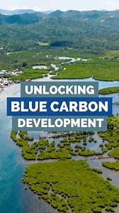 5.6K views · 82 reactions | Why are blue carbon ecosystems important...
