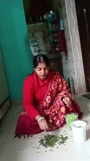 waste Khali plastic dabba ki use #hometips #kitchentips #gharelutips #kitchenhacks #sonaliofficial