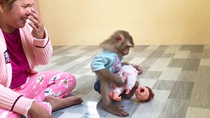 36K views · 3.5K reactions | Little Jason So Innocent Stunned To Care Rescue Baby-doll | Monkey Jason | Facebook