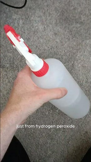 Carpet Cleaning - Quick How to Remove Blood Stains