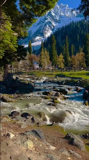 K A S H M I R ⛰️🥰#sonmarg #gulmarg #kashmir #kashmirtourism #reels