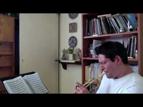 Impossible trumpet solo: Moto Perpetuo – Complete Live Performance for Trumpet 🎺