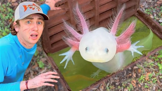 Bass Fishing Productions S02:E08 - I Found Axolotls in a Sewer!