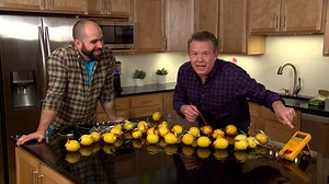 When life gives you lemons...make a battery! Learn how you can make a battery out of lemons with Steve Spangler on this week's episode of DIY Sci. Check your local Fox listings to find where this week's episode airs near you. New episodes also available on Hulu, YahooView, Roku, and Amazon (free with Prime subscription). | Xploration Station