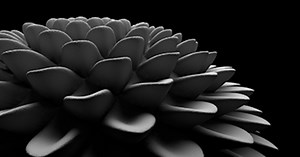 Phyllotactic Spirals and the Art of John Edmark | Exploratorium