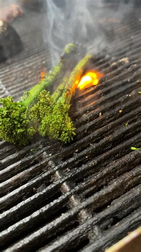 CENTER CUT RIBEYE 18oz center cut ribeye w/ marrow bordelaise sauce, potato pavé, Italian balsamic reduction & grilled asparagus NEW FALL MENU! #potatopavé #centercut #ribeye #bonemarrow #stma#stmichaelmn #hanovermn #albertvillemn #otsegomn #rogersmn #eatertwincities #mneats #stmarocks | Main Street Farmer Eatery | Facebook