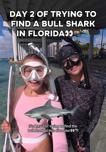 Why were there fish scraps in the water RIGHT by where the bull shark was…😳 Wait til the end for the best surprise!👀😱 Suit is from @Coral Swimwear X ! Use code Alyssa15 for 15% off🫶 💗Such an incredible dive with @talita! #freediving #ocean #sharks #marinelife #seahorses