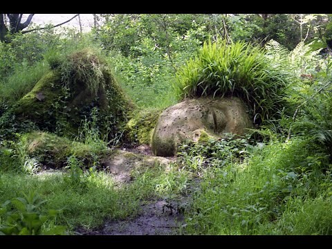 Six of the Best Gardens in Cornwall