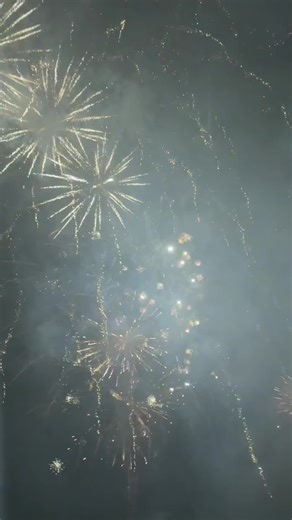 Fireworks and Weeping Willows: A Perfect Bond