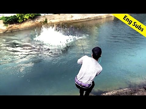 All About GT Fishing | Giant Trevally