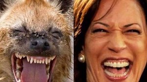 Kamala Harris Laughing Hyena Comparisons | Know Your Meme