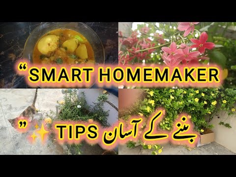 “Smart Housewife بننے کے Golden Tips | ہر عورت کے لئے اہم باتیں ❤️”
