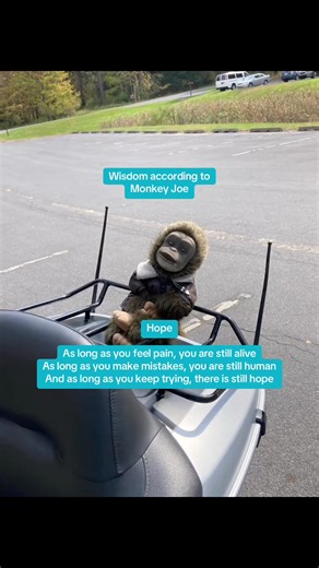 Wisdom according to Monkey Joe (@monkeyjoewisdom)’s videos with What A Wonderful World - Louis Armstrong