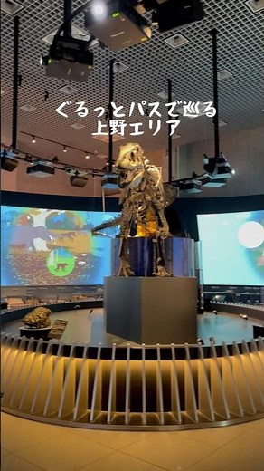 【ぐるっとパスで巡る】上野エリア #shorts #ぐるっとパス #上野 #上野公園 #国立科学博物館 #東京都美術館 #国立西洋美術館#美術館 #科学館 #博物館 #tokyo
