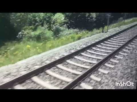 Relaxing Train Ride Through the Countryside 🚆 | 30 Minutes of Soothing Train Sounds