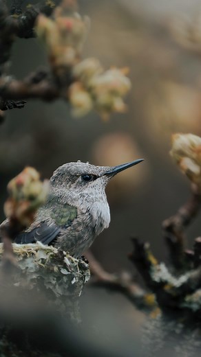 13K views · 9.4K reactions | So much changed in 4 weeks!  ➡️  In...