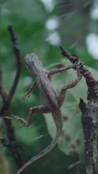 See our planet in action in Force of Nature, Sunday at 7pm on ITV1.