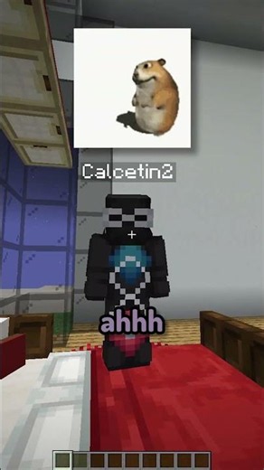 Los sueños de Xiaro 😳 #shorts #minecraft
