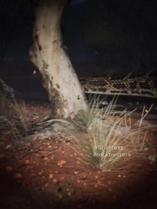 2.8K views · 12 reactions | Man chased by giant python while exploring Amazon jungle #Amazing #Amazon #trendingvideo #Dangerous | AVOL Legend Artiste | Facebook