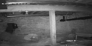 Museum Of Shadows on Reels