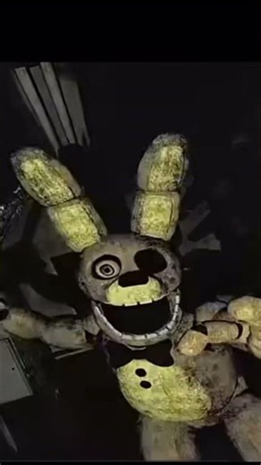 Spring trap edit #edit
