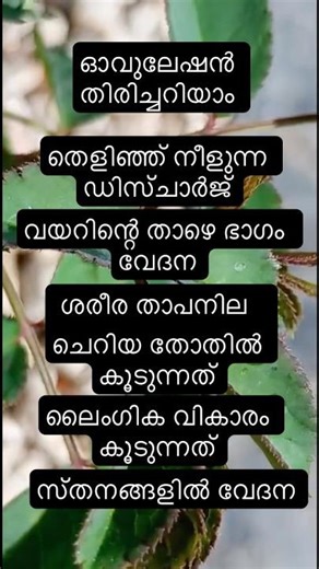 ഓവുലേഷൻ അറിയാം #shortvideo #malayalam