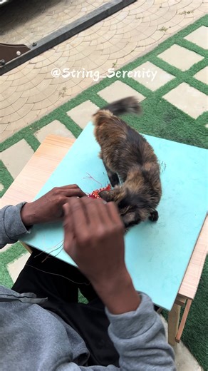 The Butterfly Emerging From The Coocon This string interpretation conveys a message of hope, resilience, and the power of personal transformation. It suggests that despite facing significant challenges and experiencing pain, it is possible to break free from limitations, overcome adversity, and emerge stronger and more beautiful. The butterfly symbolizes the potential for healing, growth, and a fulfilling life, even after experiencing significant hardship. SIZE: 18 by 18 STRING COLOR: BUTTERFLY 