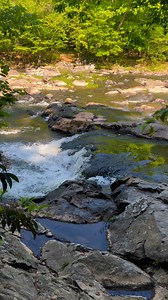 23K views · 583 reactions | Eno River State Park in Durham, North Carolina. #oldhouselife #durhamnc | Old House Life - Michelle Bowers | Facebook