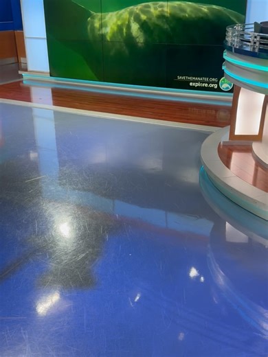 Martha Sugalski on Instagram: "LEGIT OBSESSED with this new under water Manatee camera!! CANNOT STOP watching as they huddle together at Blue Spring State Park to keep warm! #spooningmanatees"