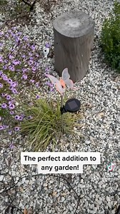 Light up Mom’s day (and her garden at night) with these 3 piece Solar Decorative LED Lights from Harbor Freight. On sale right now for only $6.99! Learn more here: https://hf.tools/www69462 | Harbor Freight