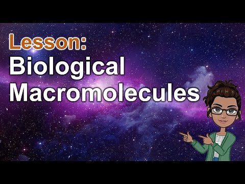 PHYSICAL SCIENCE - BIological Macromolecules