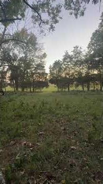 John Deere 4052M HD and John Deere RC8M Rotary Cutter #johndeere