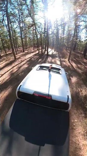 more exploring in the NJ Pine Barrens in a #nissanfrontier #offroad