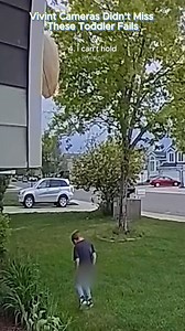 18K views · 325 reactions | Vivint Cameras Didn’t Miss These Toddler Fails #comedy #fyp #compilation #funnyreels #toddlers | The Mom Cave | Facebook