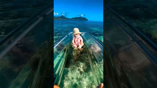Watch my baby see the ocean for the first time