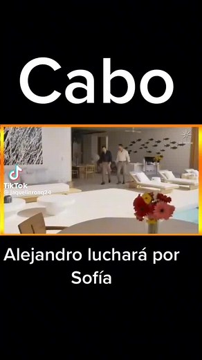 Cuentas recomendadas