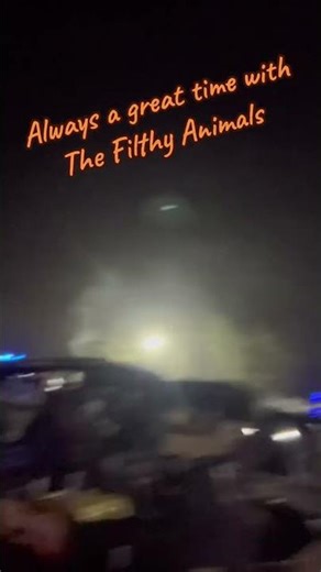 Filthy animals concert ￼