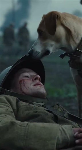 The Forgotten Soldiers of WW1 🐴🕊️