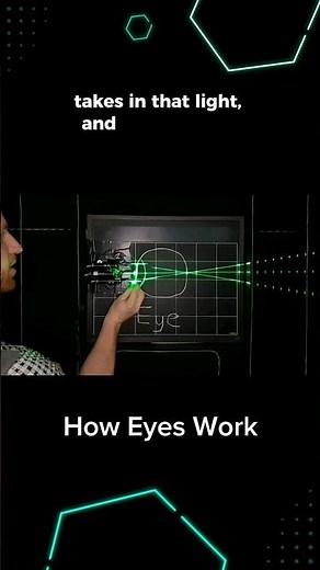 How Eyes Work 👀