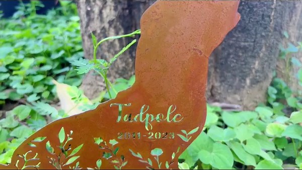Metal Prickly Pear Cactus Yard Art, Metal Cactus, Rusty Desert Garden Stake, Southwest Yard Art, Outdoor Decoration, Cactus Yard Decor - Etsy