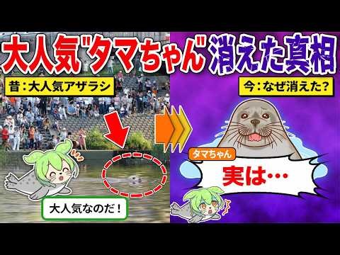 The reason why "Tama-chan," who caused such a fuss 20 years ago, disappeared.