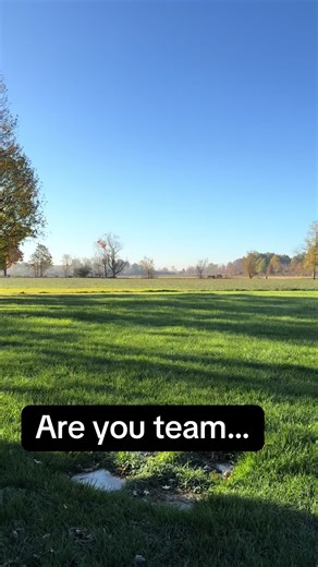 Cuddly Fox and Wolf Crochet Patterns Release