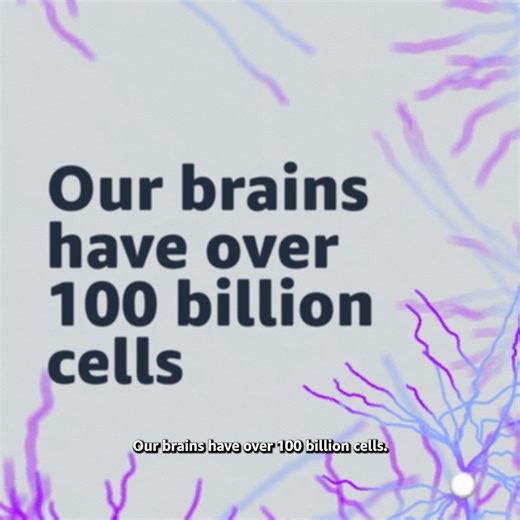 3M views · 1.6K reactions | Researchers at the Allen Institute are unraveling the secrets of the human brain—one cell at a time. Learn how AWS AI & Machine Learning is helping them do it. ➡️ aws.amazon.com/solutions/case-studies/allen-institute-infographic | Amazon Web Services | Facebook