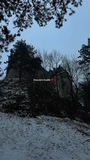 Who taught us fear? Winter at Bran Castle feels less like a season and more like a verdict. Snow seals the battlements, silence thickens in the stairwells, and Transylvania stands indifferent, almost amused. Romania does not stage its darkness for visitors. It simply leaves it unedited, a raw cut of history where cold becomes narrator and stone keeps the receipts. The lore here is dense and unromantic. Vlad the Impaler was not a ghost but a ruler sharpened by captivity in the Ottoman court and b