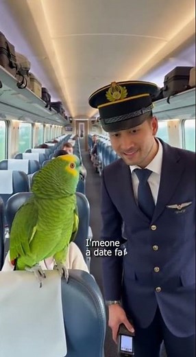 Daily funny shorts, talking parrot reactions, roasting videos, and emotional moments.#youtubeshorts